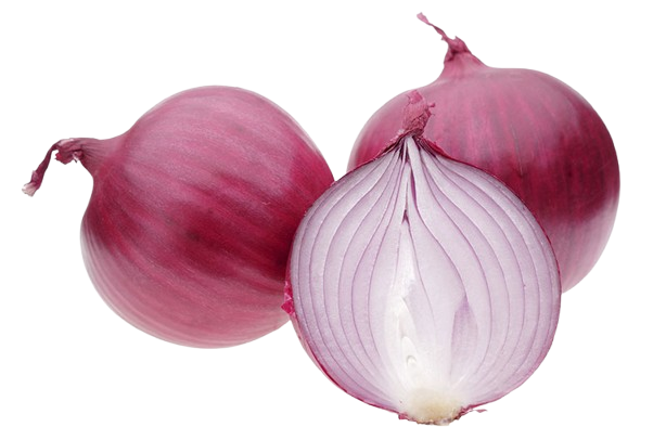 Savor the Onion